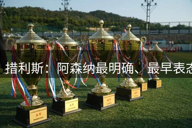 措利斯：阿森纳最明确、最早表态，这让我的决定更容易作出