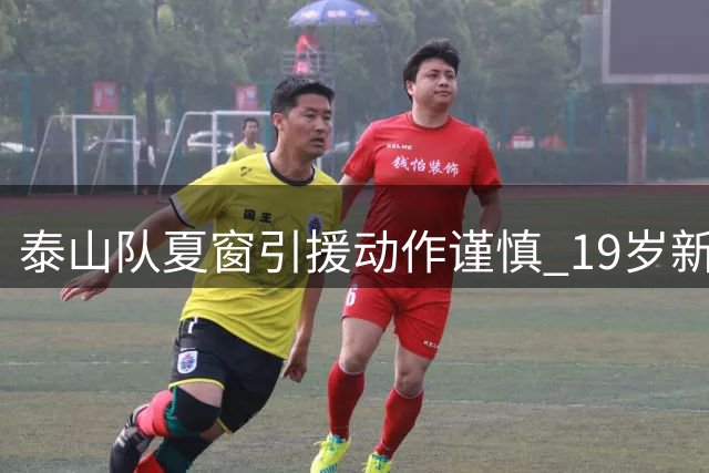 泰山队夏窗引援动作谨慎 19岁新星成唯一补强